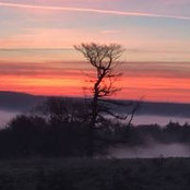 Paul Matwiow's photo