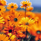 Sandrine Ducret's photo