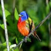 Orit Kattan's photo