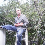 Brian Saulnier's photo