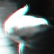 Foto von Nox Noble