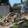 Brassfield Landscaping, LLC.