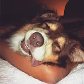 Jess Phillips's photo