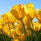 Rita Mills's photo
