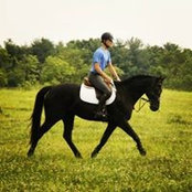 Zachary Hinch's photo