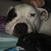Katie Strauchon's photo