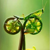 Rob Hanson's photo