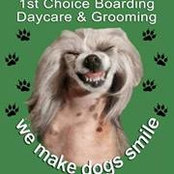 IndyDogs Indianapolis's photo