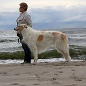 Oksana Fedyanina's photo