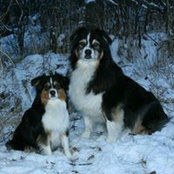 Cheryl Robinson's photo