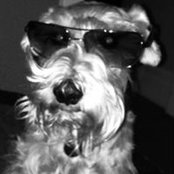 Michael Lopez's photo