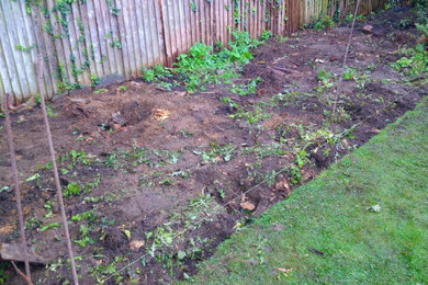 Inspiration for a back garden in Other.