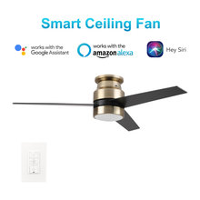 Ceiling fans