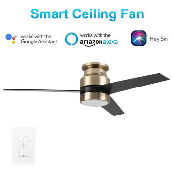 Carro 52'' Indoor Ceiling Fan with Light Wall Control and Remote by Wifi App, Golden