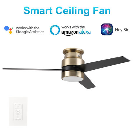 Carro 52'' Indoor Ceiling Fan with Light Wall Control and Remote by Wifi App, Golden