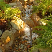 Landscape Ideas