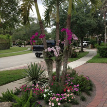 My Front Garden