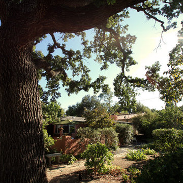 No Lawn Front Yard