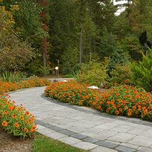 Landscape features
