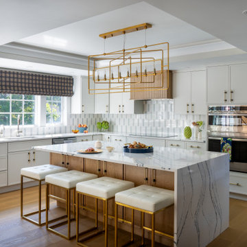 Elegant Age-In-Place Renovation