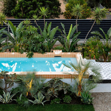 Handsome Salt: 4x4 Koi Pool