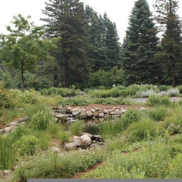 Carpenter Nature Center