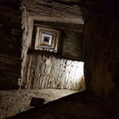 Alessandra Cotoloni's photo