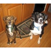 Paula Hull's photo
