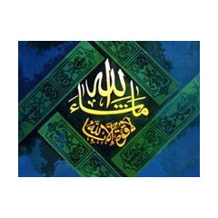 m_reda