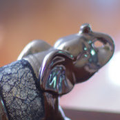 Allen Lin's photo