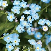 Paula Gurrieri's photo