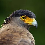 Lynne Jones's photo