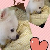 Minnie Wu's photo