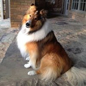 Cindy Wyatt's photo