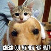 Donna Schmidt's photo