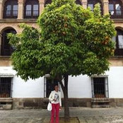 Jana Lindermane's photo