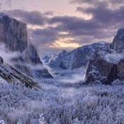 Zane Fore's photo