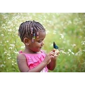 Andrea Kimball's photo
