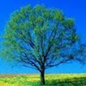Beverly Harris's photo