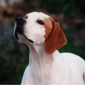 Caroline Walkling's photo
