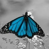 Heather de Fossard's photo