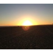 Robert Stone's photo