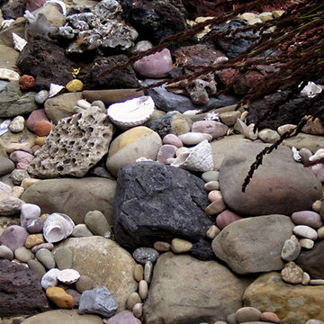 Rock Garden