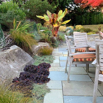 Medina Gold Cottage Patio Garden