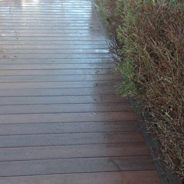 Fiberon Rosewood Deck w/ TREX Transcend Vintage Lantern Railing