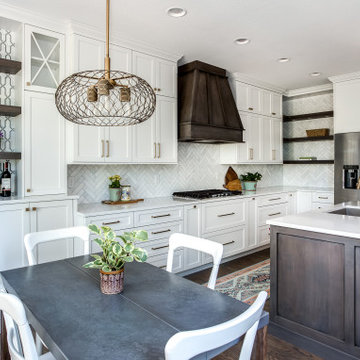 Highlands Ranch Sleek Transitional Kitchen