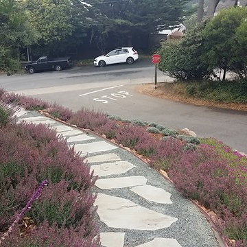 Low Maintenance & Drought Tolerant