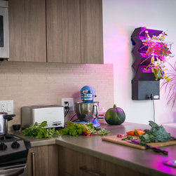 Green Thumb Technology Veggie-Wall - Small Kitchen Appliances