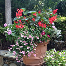 Flower Pots