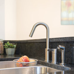 Danze Amalfi Single Handle Kitchen Faucet - Kitchen Faucets